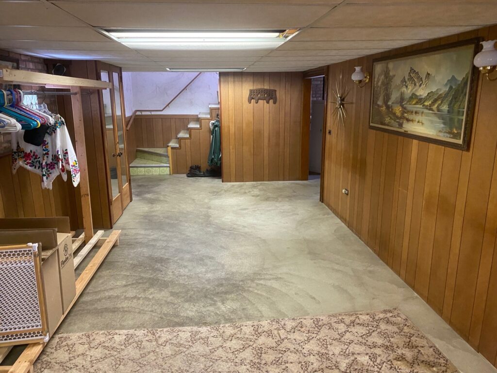 Basement Junk Removal Furniture Cleanout in Plainfield, Illinois before