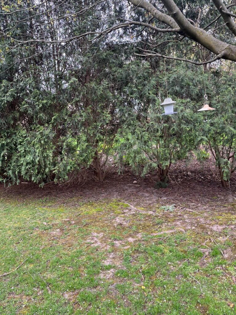 Fence Removal Wooden Fence Removal from Homer Glen Illinois