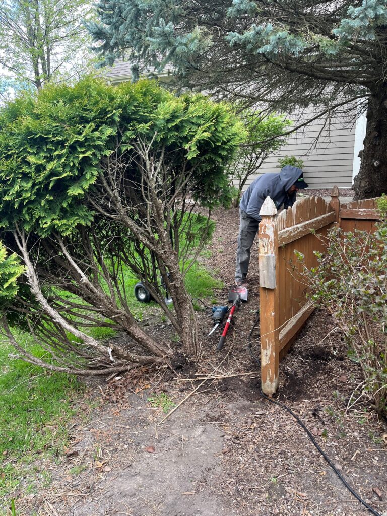 Junk Pickup Removal removes a large wooden fence that surrounds the customer's property in Lemont Illinois