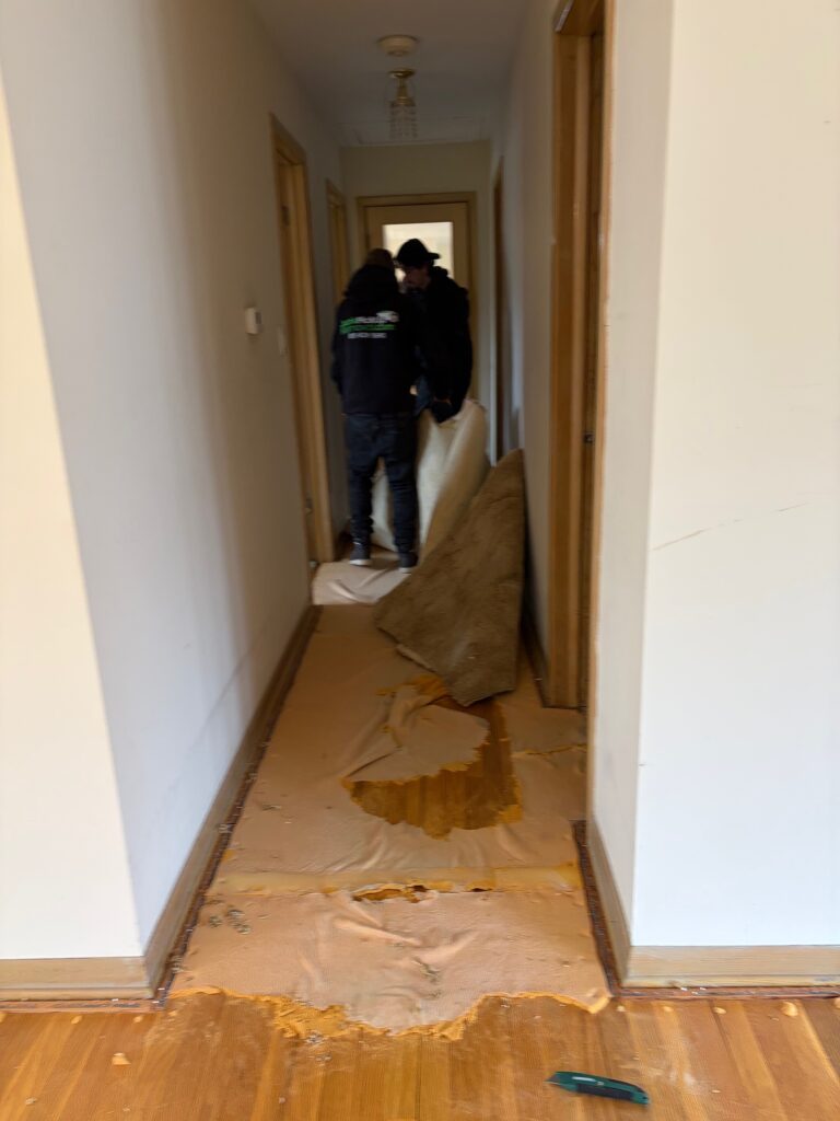 Carpet Removal by the Junk Pickup Removal crew in Downers Grove, Illinois